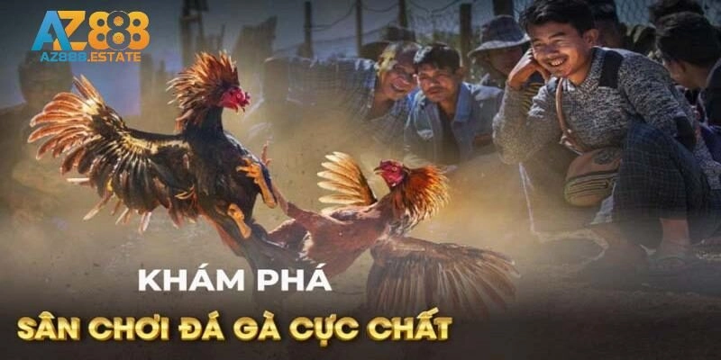 Chia sẻ cách theo tham gia đầu tư các trận đấu