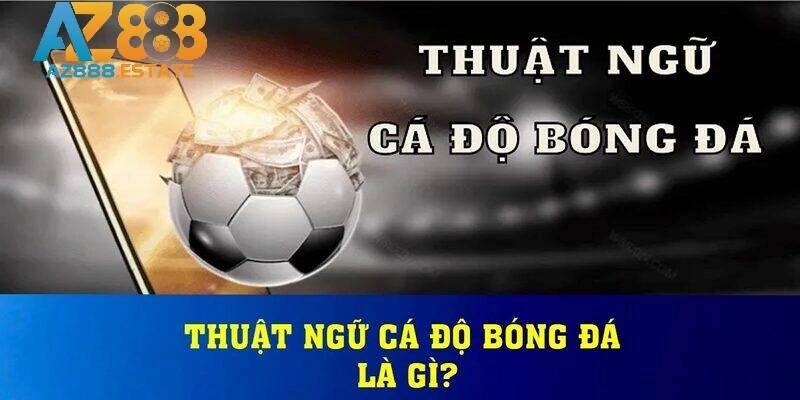 Nắm chắc thuật ngữ cá độ bóng đá giúp gia tăng cơ hội thắng  