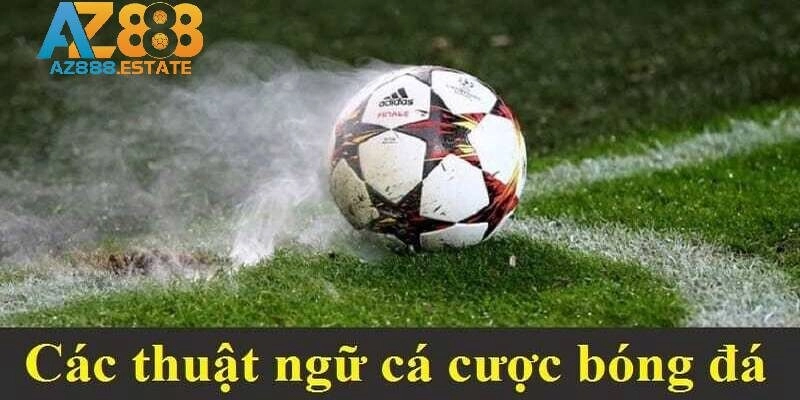 Thuật ngữ cần ghi nhớ khi tham gia cá độ bóng đá 