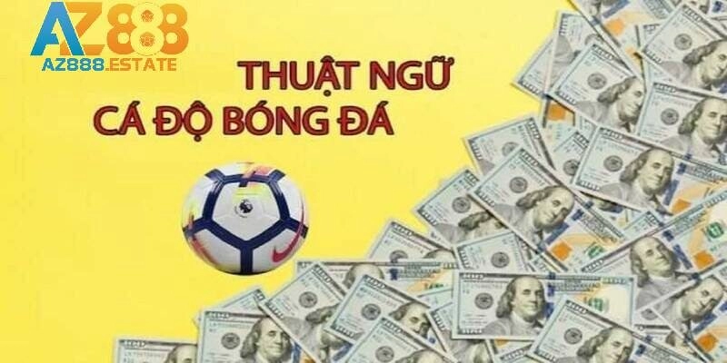 thuật ngữ cá độ bóng đá